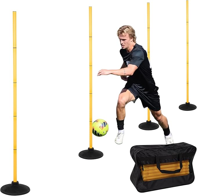 Dog Speed & Agility Training