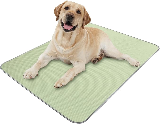 Pet Camping & Hiking