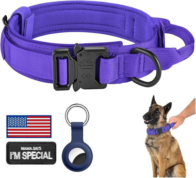 Hunting Dog Gear