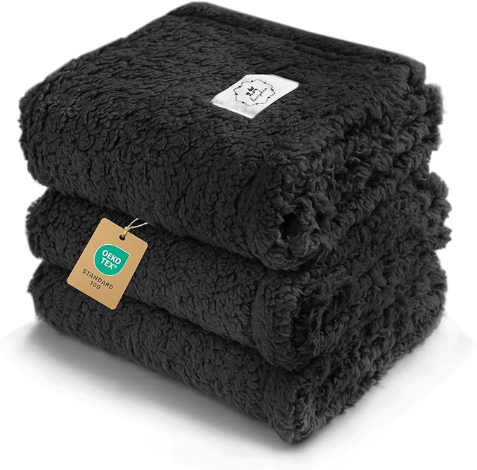 Pet Beds & Furniture