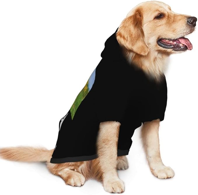 Personalized Dog Hoodie Customized with Name Photo Pet Warm Sweater Hoodie for Medium Large Dogs & Cat Puppy, BlueViolet, L