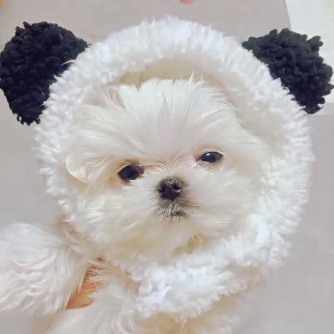 JOICEE Cute Cat Costume - Warm Bear Hat for Small Pets (Black & White)