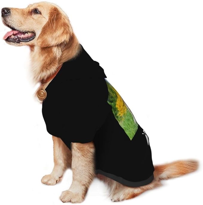Personalized Dog Hoodie Customized with Name Photo Pet Warm Sweater Hoodie for Medium Large Dogs & Cat Puppy, Goldenrod, S