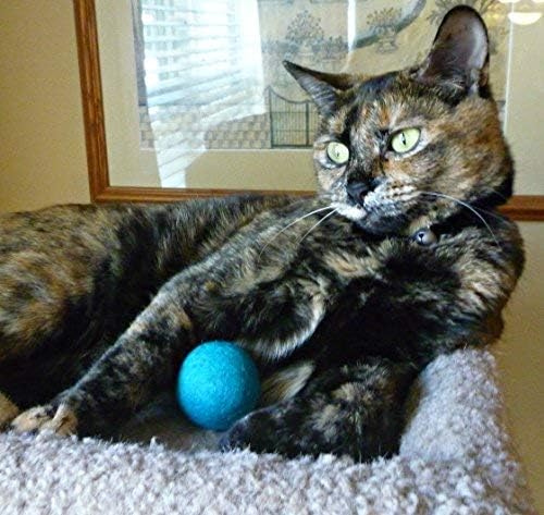 Wool Cat Toys - Felt Balls Assortments for Small Pet Fetch and Play - Eco Friendly Quiet Wool Ball Toy for Cats and Kittens - Choose Your Colors (Variety Pack)