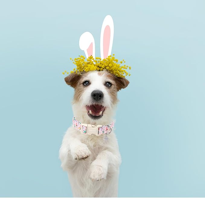 DOGWONG Easter Rabbit Dog Collar, Colorful Egg Dog Collar Soft Durable Adjustable Comfortable Cute Easter Puppy Collar for Small Medium Large Dog