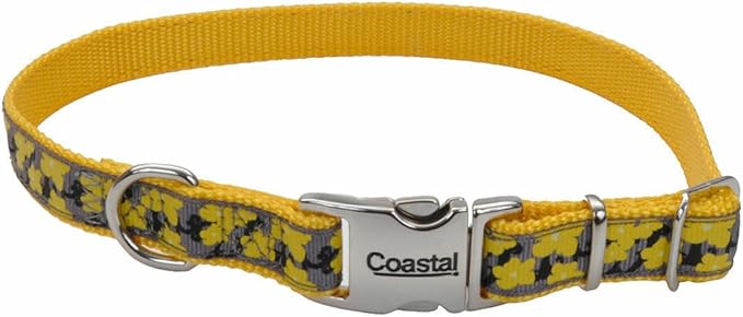 Coastal Pet - Ribbon - Adjustable Dog Collar with Metal Buckle, Yellow Buttercup, 5/8" x 8"-12"