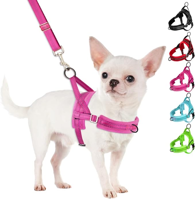 SlowTon No Pull Small Dog Harness and Leash Set, Puppy Soft Vest Harness Neck & Chest Adjustable, Reflective Lightweight Harness & Anti-Twist Pet Lead Combo for Small Medium Dogs (FU, M)