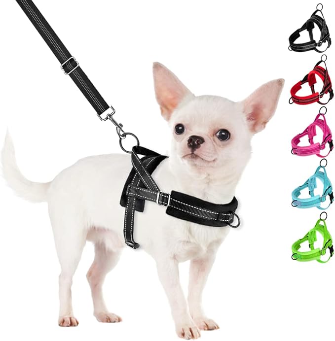 SlowTon No Pull Small Dog Harness and Leash Set, Puppy Soft Vest Harness Neck & Chest Adjustable, Reflective Lightweight Harness & Anti-Twist Pet Lead Combo for Small Medium Dogs (Black, XXS)
