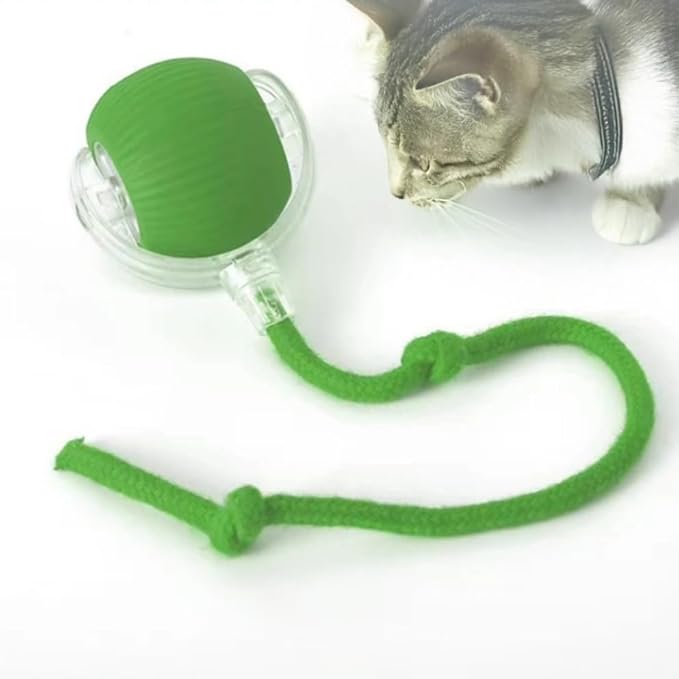 Cat Toy Ball with Tail Rope, Smart Rolling Ball, LED Light, Electric Self-Rolling Small Pet Toy, Interactive Jumping, Automatic Teaser, Small Dog and Pet Excercise, Fun Activity (Green)