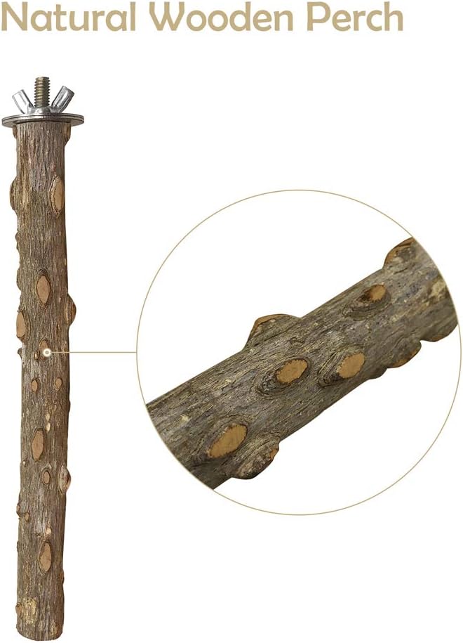 Bird Perch 4 PCS Natural Wood Stand Parakeet Toys Bird Cage Accessories for Parrots Conure Supplies Budgie Platform