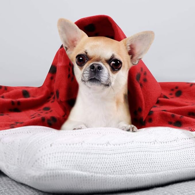 Comsmart Dog Blankets for Small Dogs, 6 Pack Puppy Blanket Cute Paw Print Pet Blanket for Dog, Puppy, Cat, Kitten, 24x28 inches, Red