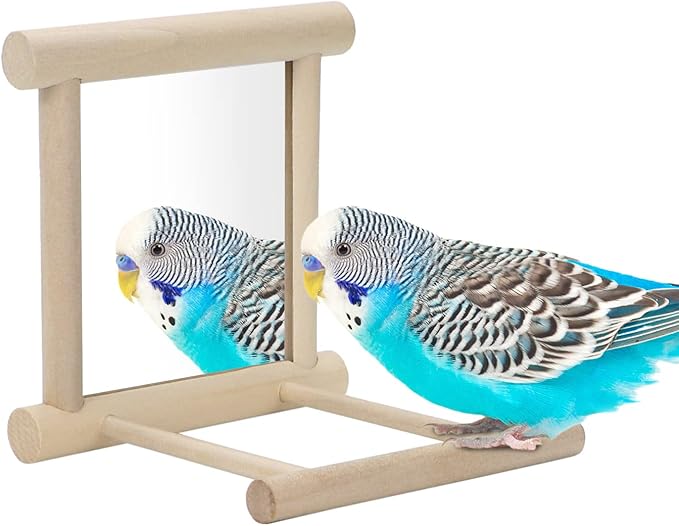Bird Mirror with Perch Bird Toys for Parrots Budgies Parakeets Cockatiels Lovebirds Finches Canaries