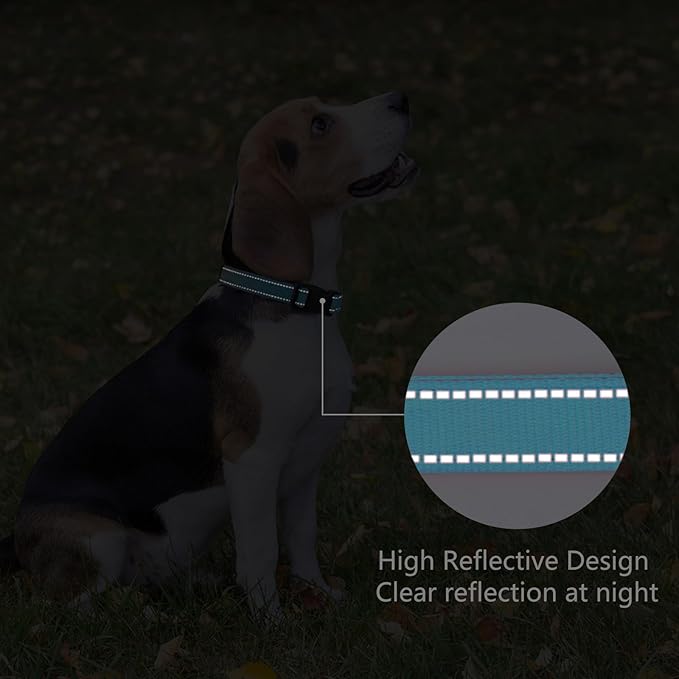 Reflective Dog Collar Padded with Soft Neoprene Breathable Quick Release Basic Dog Collars for Puppy Small Dogs Sky Blue