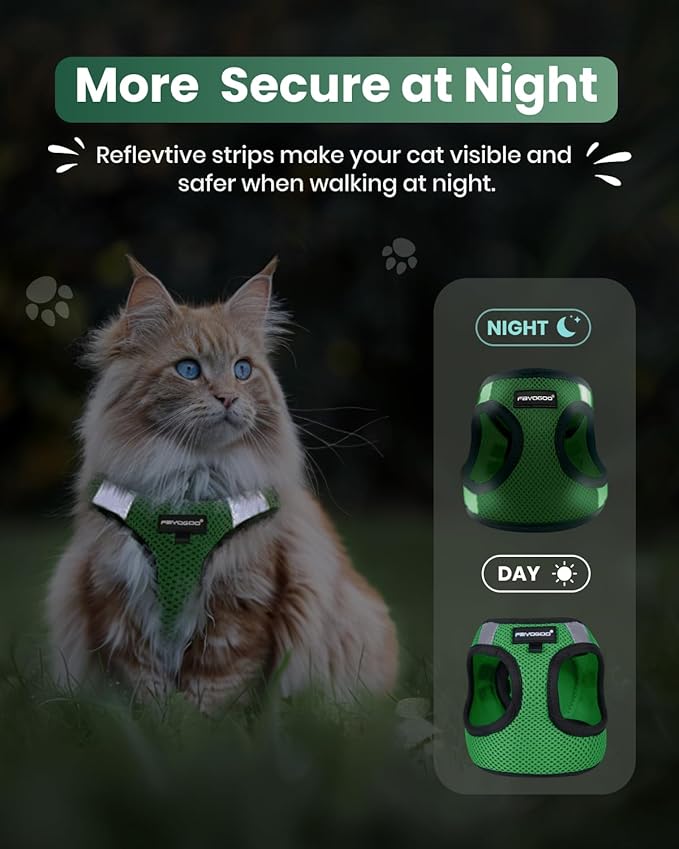 FAYOGOO Cat Harness, Cat Leash and Harness Set for Walking Escape Proof, Harness for Small Cats/Small Dogs, Large Kitten/Puppy Harness and Leash, Harness for Cats S-XXL(Neon Green, Large)