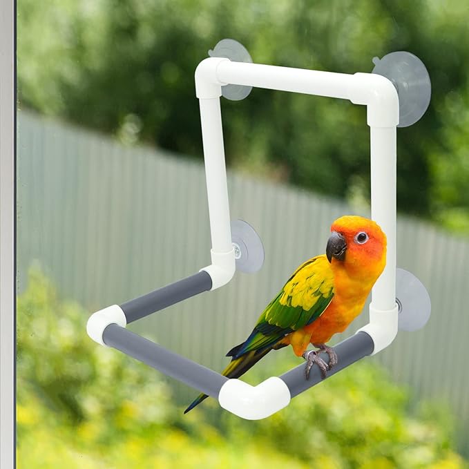 Bird Portable Suction Cup Shower Perch Parrot Window Wall Standing Platform for Cockatoo Conure Cockatiel African Grey