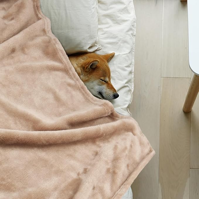 Onarway Dog Blanket Washable for Puppy: 4 Packs Dog Blankets 40”x28” - Fluffy Soft Small Throw for Cat Puppy Kitten Dogs - Fleece Pet Blankets for Bed Sofa Car and Indoor - Grey and Khaki