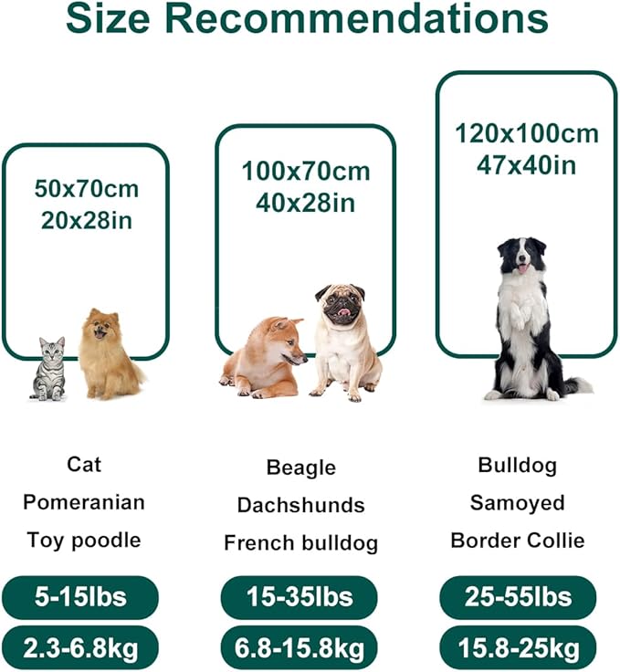 Onarway Dog Blanket Washable for Puppy: 4 Packs Dog Blankets 40”x28” - Fluffy Soft Small Throw for Cat Puppy Kitten Dogs - Fleece Pet Blankets for Bed Sofa Car and Indoor - Lake Green and Purple