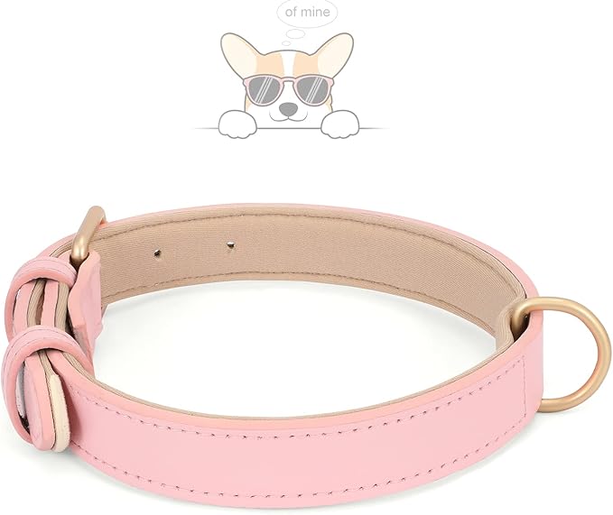 WHIPPY Airtag Leather Dog Collar GPS Tracker Air Tag Puppy Collar Adjustable Soft Leather Padded Dog Collar with Airtag Holder Case for Small Medium Large Dog Pet Backpack,Pink,S