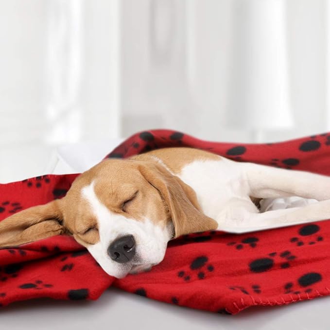 Comsmart Dog Blankets for Small Dogs, 6 Pack Puppy Blanket Cute Paw Print Pet Blanket for Dog, Puppy, Cat, Kitten, 39x31 inches, Red