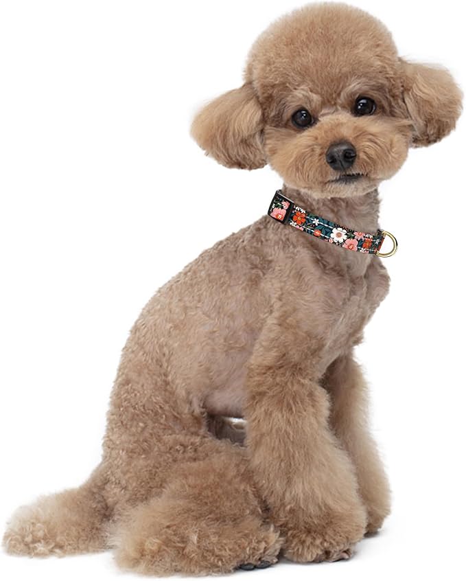 Reflective Dog Collar for Small Dogs, Cute Flower Theme Adjustable Heavy-Duty Nylon Puppy Collar for Boy and Girl Female, Soft Pet Accessories with Quick Release Buckle, Elegant Floral