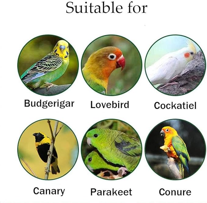 Hamiledyi Wood Bird Perch,Natural Wooden Stand Platform Parrot Cage Accessories for Budgie Conure Parrot Parakeet Cockatiel Lovebird(4 Pcs)