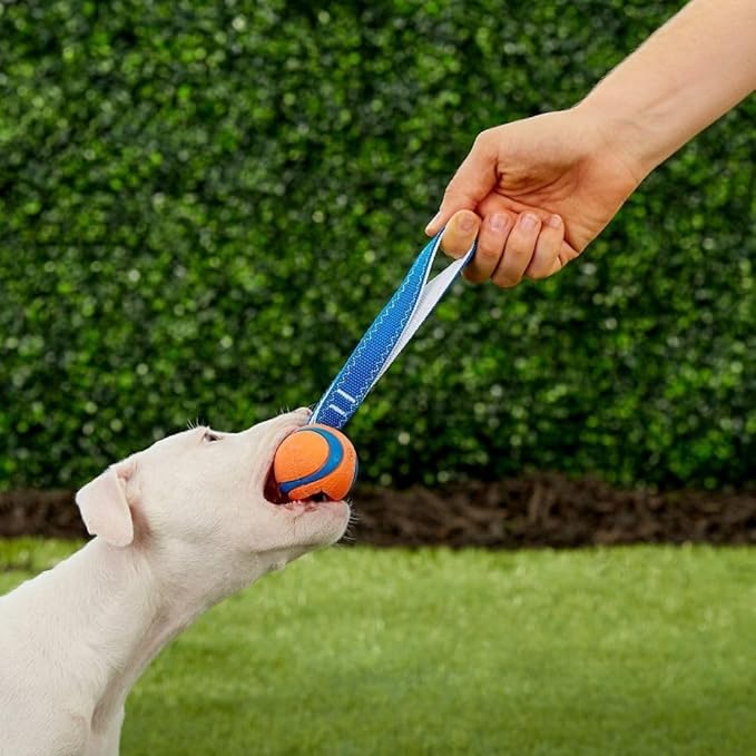 Chuckit! Ultra Tug Dog Toy, Small Fetch and Dog Ball Tug Toy for Dogs 0-20 Pounds