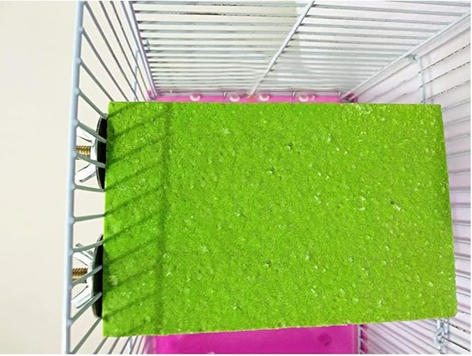 Litewoo Bird Perch Grinding Stand for Bird Parrot Budgie Parakeet Cockatiel Conure Lovebird Finch（5.1" x 3.5"）