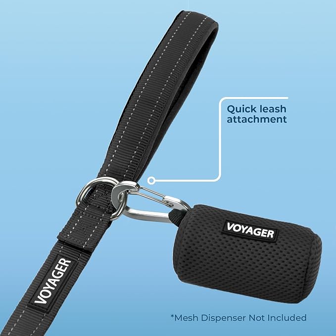 Best Pet Supplies Voyager Reflective Dog Leash or Collar with Neoprene Handle, for Small, Medium, and Large Breed Puppies, Cute and Heavy Duty for Walking, Running and Training - Black (Leash), S