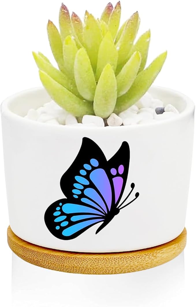 Window Garden Butterfly Planter Pots,Butterfly Gifts for Women/Men/Housewarming/Wedding/Festival Birthday Gifts Planter Pots,Outdoors/Indoors,Window Decor,Garden Decor,Yard Decor,Home Decor,Office