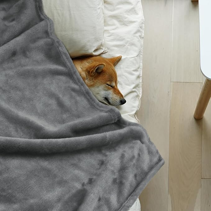 Onarway Dog Blanket Washable for Bed: 2 Packs Dog Blankets 40”x47” - Fluffy Soft Large Throw for Cat Puppy Kitten Dogs - Fleece Pet Blankets for Crate Couch Car and Indoor - Grey