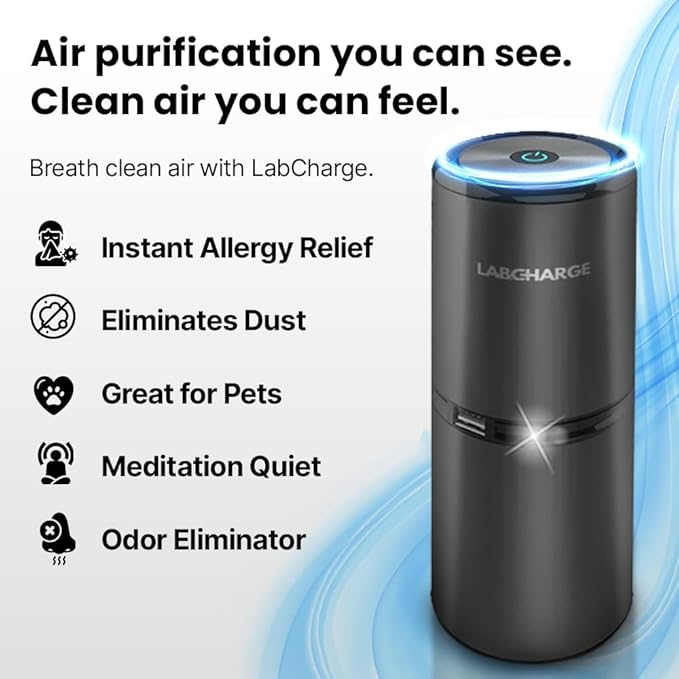 LabCharge Small Ionic Air Purifier for Home & Bedroom – Silent HEPA Filter – Covers 250 Sq Ft - Free Cleaner for Pets, Hair, Smoke, Dust, Odors & Dander – Compact & Black Design - Pack of 2
