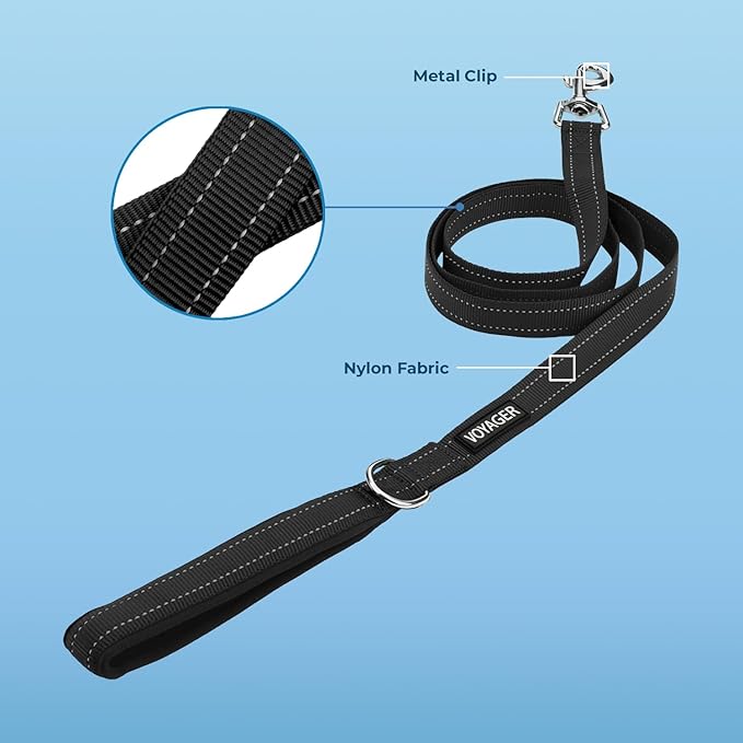 Best Pet Supplies Voyager Reflective Dog Leash or Collar with Neoprene Handle, for Small, Medium, and Large Breed Puppies, Cute and Heavy Duty for Walking, Running and Training - Black (Leash), S