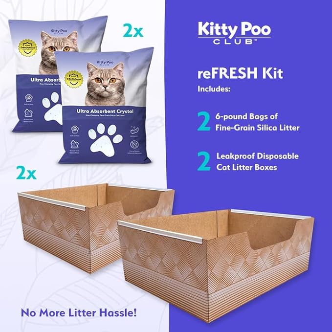 Leakproof Disposable 2-Pack Cat Litter Box with 2 Bags of 6 lbs Litters | Superior Odor Control & Recyclable Design | Perfect for Travel, Multi-Cat Homes & Daily Use — Kitty Poo Club