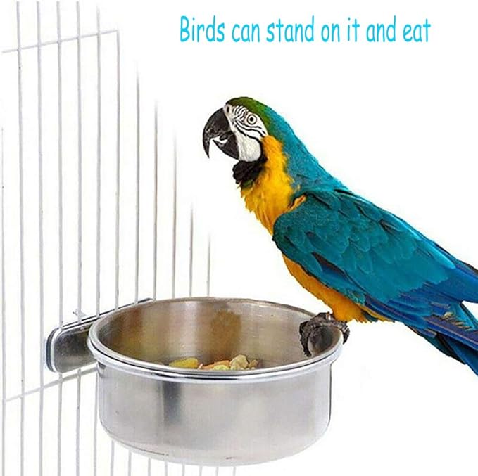 PINVNBY Parrot Feeding Cups Birds Food Dish Stainless Steel Parrot Feeders Water Cage Bowls with Clamp Holder for Cockatiel Conure Budgies Parakeet Parrot Macaw Small Animal Chinchilla Pack of 2