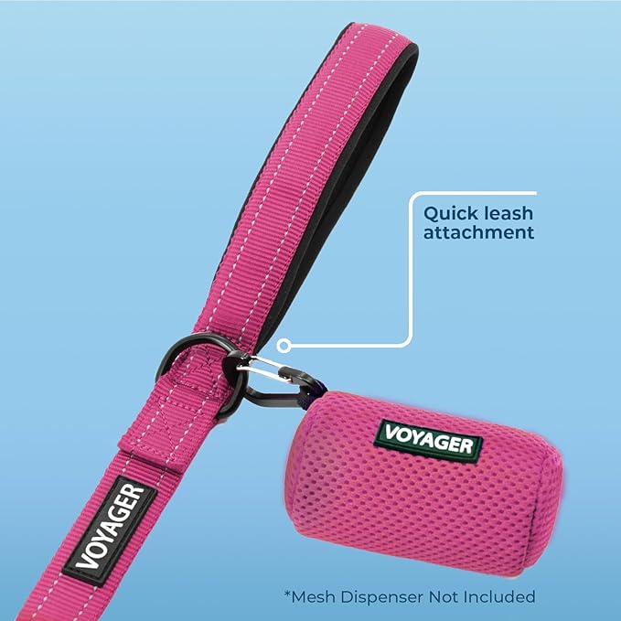 Best Pet Supplies Voyager Reflective Dog Leash or Collar with Neoprene Handle, for Small, Medium, and Large Breed Puppies, Cute and Heavy Duty for Walking, Running and Training - Fuchsia (Leash), S