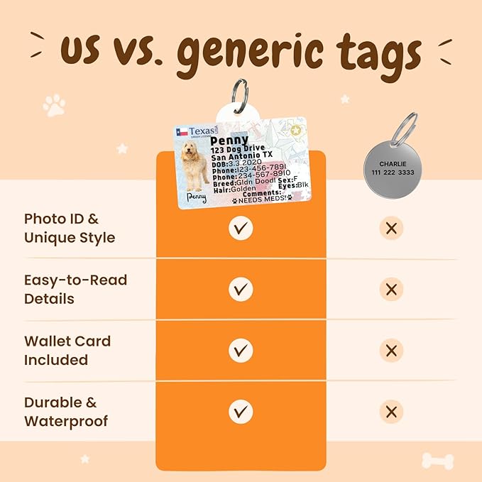 PawFurEver Personalized Dog Driver License ID Tag for Dogs & Cats - Custom Pet License Dog ID Tags Personalized Heavy Duty with Name, Photo & Phone Number, 50 States + DC (Massachusetts, Tag)