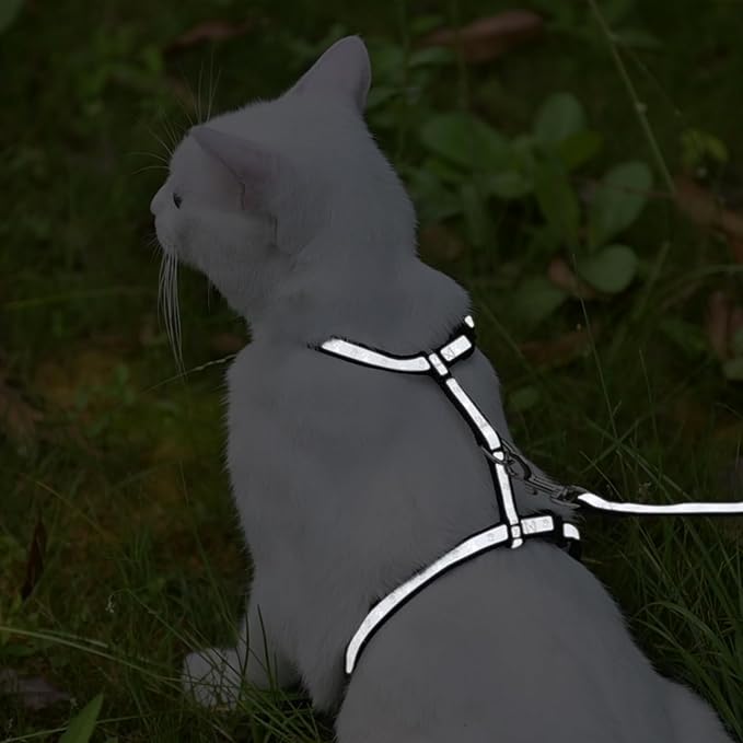 KOOLTAIL Cat Harness and Leash Set, Escape Proof Adjustable Kitten Harness for Walking Travel, Safe & Easy Control Outdoor, Lightweight Soft Pet Harness for Small Medium Large Cats, Black