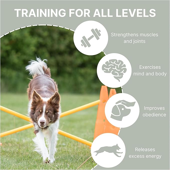 TRIXIE Dog Agility Hurdle Cone Set – Dog Agility Set with Height Adjustable Crossbar for Beginners & Advanced, Dog Agility Equipment for Dog Obstacle Courses – 6 x Cones, 3 x Agility Rods