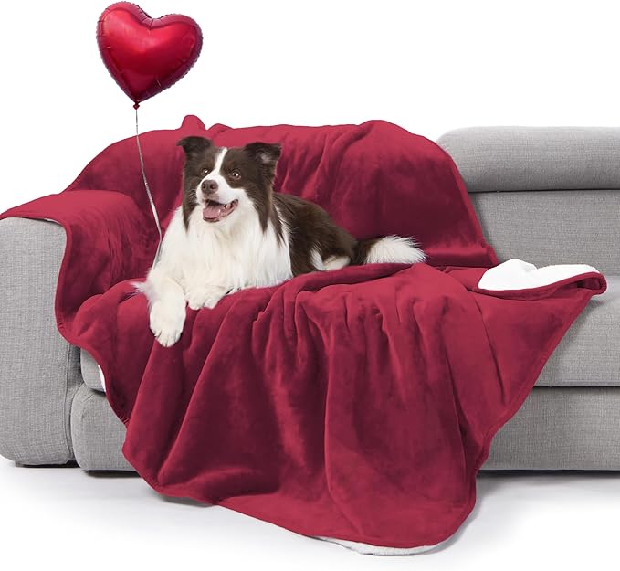 gogobunny Waterproof Bed Blanket, Reversible Sherpa Fleece Throw Blanket for Dog Puppy Cat, Furniture Cover Protects Bed Couch Sofa from Liquid Pee and Pet Fur (Romantic Red, 50x60 inches)