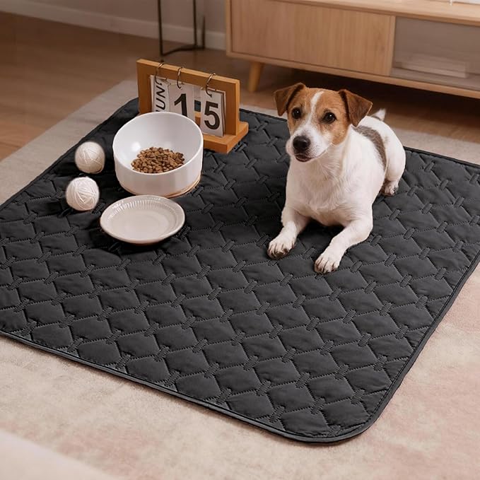 gogobunny 100% Double Sided Waterproof Dog Blanket Soft Pet Bed Cover Reversible Protect Furniture Couch Sofa Car for Puppy Large Dog Cat (Dark Charcoal/Light Charcoal, 30x30 Inch (Pack of 1))