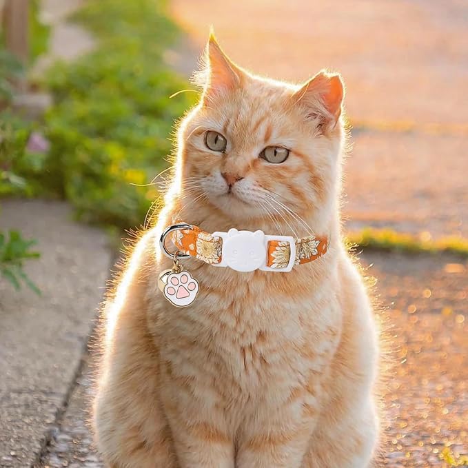 Unique Style Paws Christmas Kitten Collar,2 Pack Cat Collar for Girl Cats with Flower Pattern,Breakaway Cat Collar with Bell,Cute Paw Pendant,Ideal Gift for Boy Girl Cats