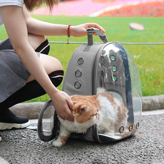 Cat Backpack Carrier Back Expandable Bubble Pet Carrier Backpack for Large Cat, Kitten and Dog, Designed for Hiking, Travelling and Outdoor Use (Back Expandable-Grey)