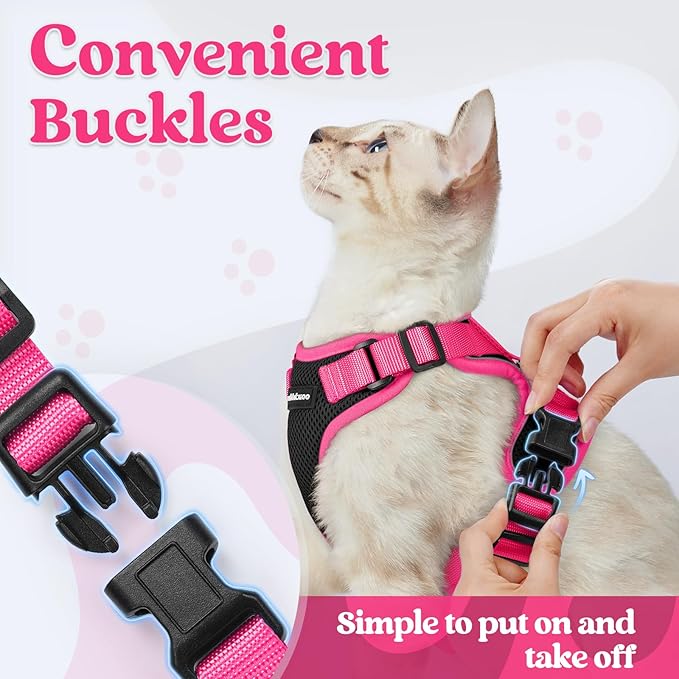rabbitgoo Cat Harness and Leash Set, Escape Proof Soft Adjustable Vest Harnesses for Outdoor Walking, Easy Control Breathable Kitten Jacket with Reflective Strips, Black & Rose Pink, M