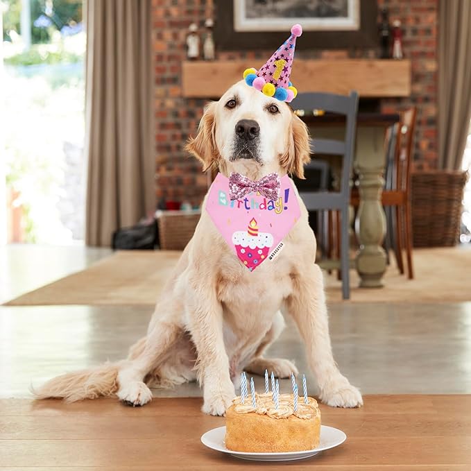 ADOGGYGO Dog Birthday Bandana Scarf and Dog Girl Birthday Party Hat with Cute Bow Tie for Extra Large Dogs Pets (X-Large)