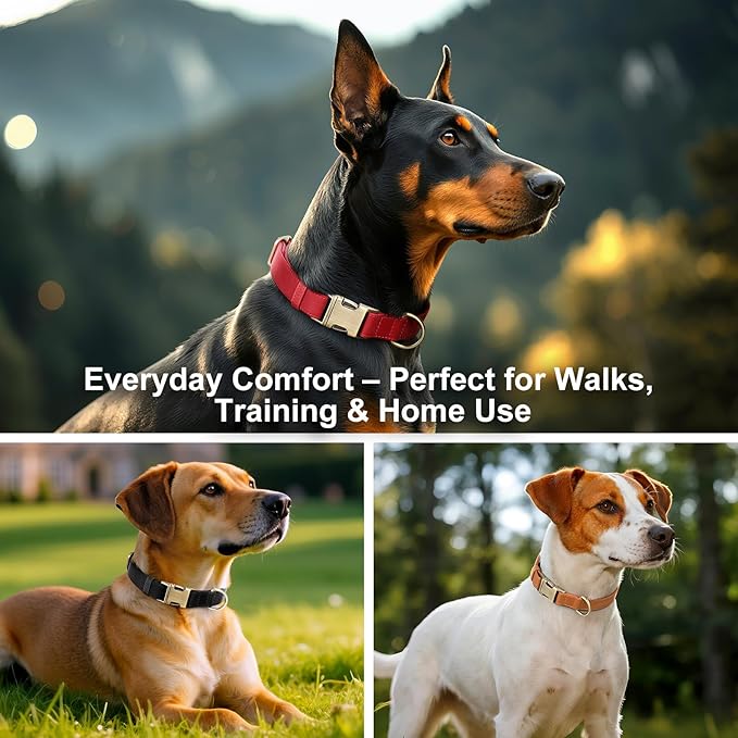 Plutus Pet Genuine Leather Dog Collar – Adjustable Pet Collar with Quick Release Metal Buckle, Soft Real Leather for Small Medium Large Dogs, Heavy Duty & Skin-Friendly (Blue, L)