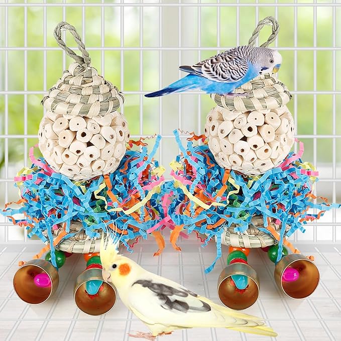 Conure Toys,2PCS Bird Toy Parrot Foraging Shredder Hanging Toys Sola Balls with Bell for Small Parrots Parakeets Cockatiel Conures Love Birds Budgie Cage Toy