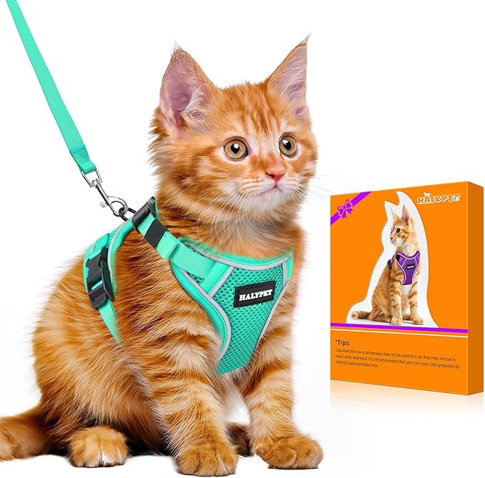 Halypet Cat Harness and Leash Set [MAX Safety 4th-Gen Upgrade] Escape Proof Adjustable Cat Leash Comfortable Soft Vest Easy to Wear Kitten Harness with Reflective Strip for Cats Walking, XS Green