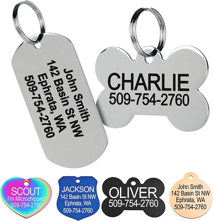 GoTags Stainless Steel Pet ID Tags, Personalized Dog Tags and Cat Tags, up to 8 Lines of Custom Text, Engraved on Both Sides, in Bone, Round, Heart, Bowtie and More (Rectangle, Regular (Pack of 1))