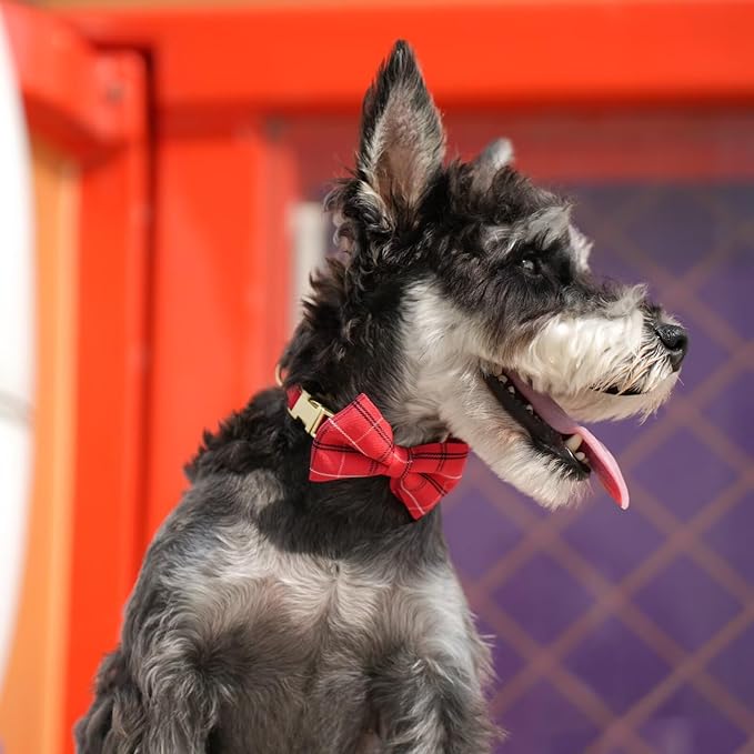 Beirui Cute Small Dog Harness Collar and Leash Set with Bowtie, Soft Adjustable Plaid Puppy Harness for Small Sized Dogs Cats Walks Parties and Photoshoots(Red,S:Chest 17-23")