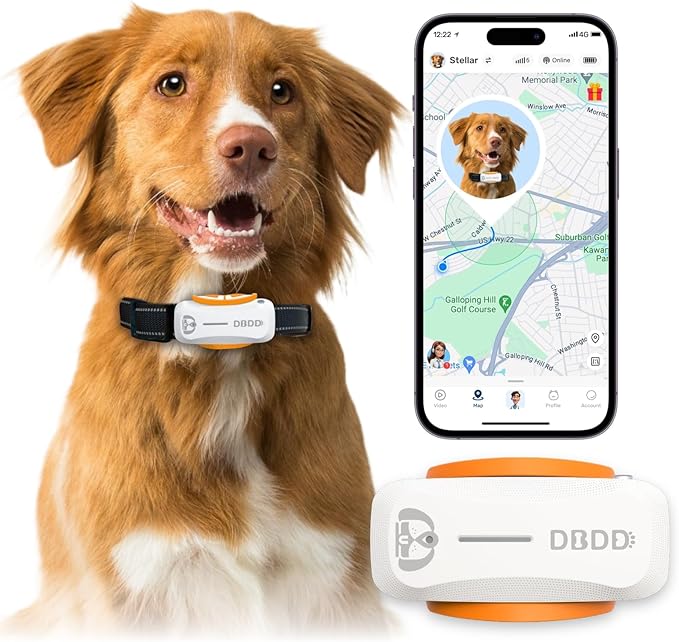 AI GPS Tracker for Dogs (30lbs+), Real Time Location and AI Vet Health Management, Electronic Fence, Waterproof, iOS and Android Universal（White）